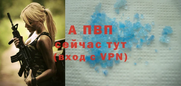 прущие крисы Беломорск