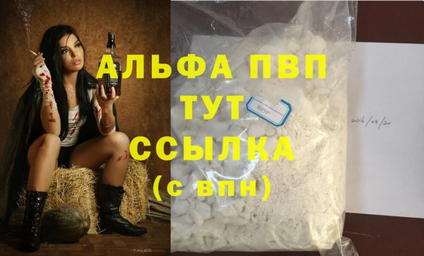 прущие крисы Беломорск