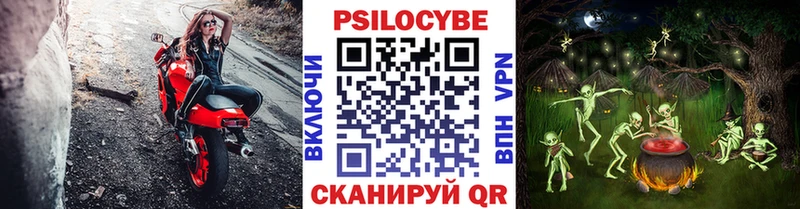 Купить где  Светогорск  Псилоцибиновые грибы MAGIC MUSHROOMS 